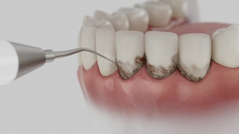 Reliable Dental contractor in Houserville, PA by Dentist Open Now